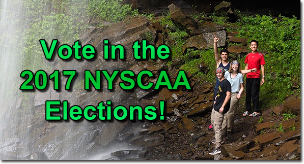 Cast your ballot in the 2017 NYSCAA Elections!