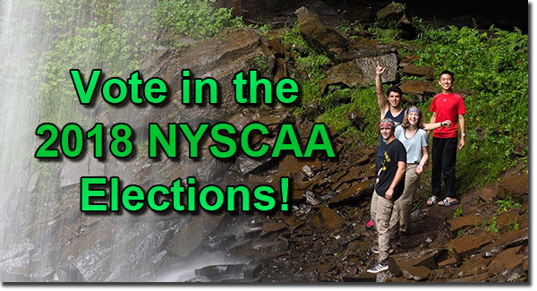 Cast your ballot in the 2018 NYSCAA Elections!