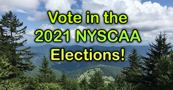 vote-2021-nyscaa-elections-600x314