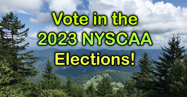 Vote in the 2023 NYSCAA Elections!
